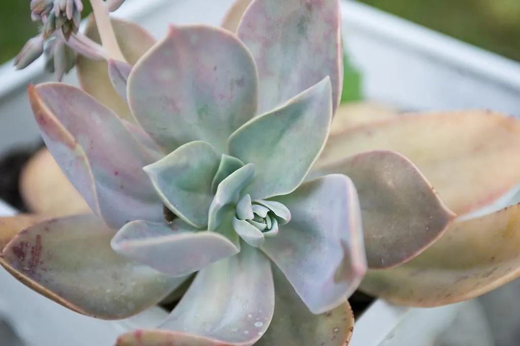 Casavaliversi Appartamenti 세스토 피오렌티노 0*,  이탈리아